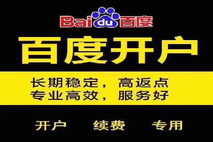 从零到一：企业如何通过百度竞价实现快速增长？——以某公司为例