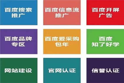 SEM托管公司案例分析：实战技巧全解析